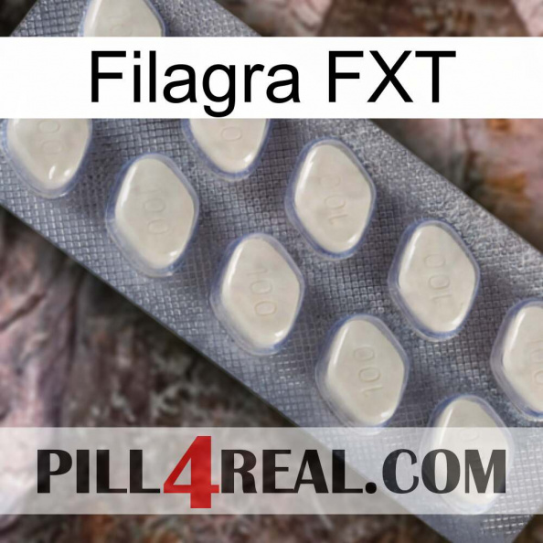 Filagra FXT 08.jpg